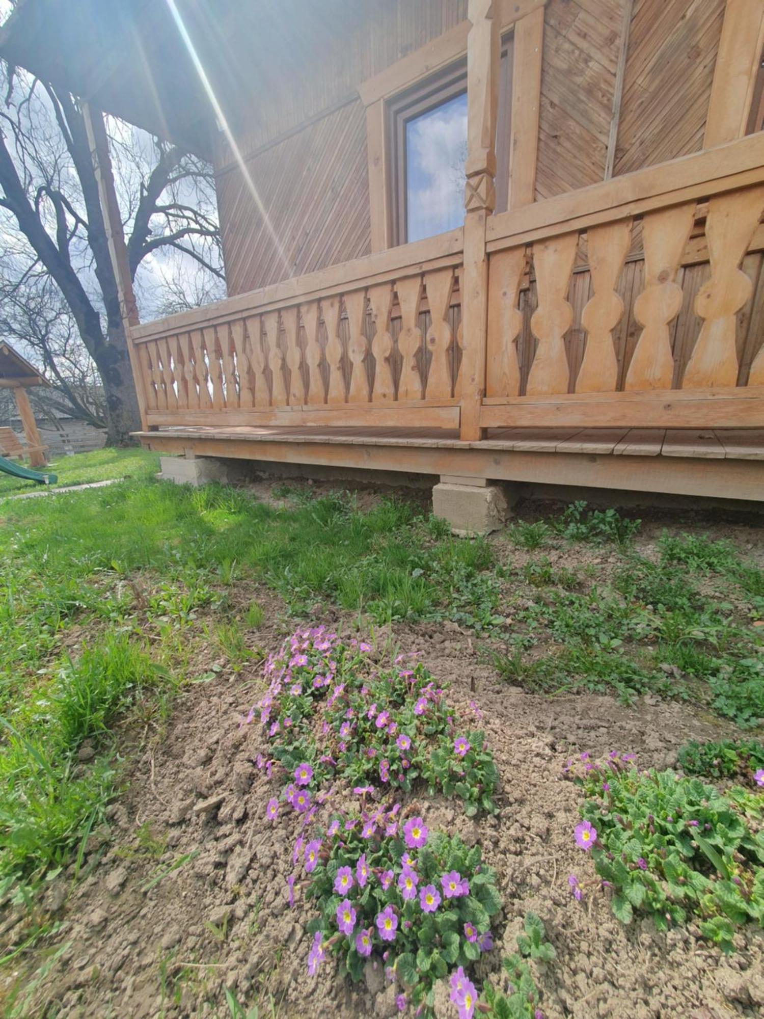 Casa Traditionala Bilbor Buitenkant foto